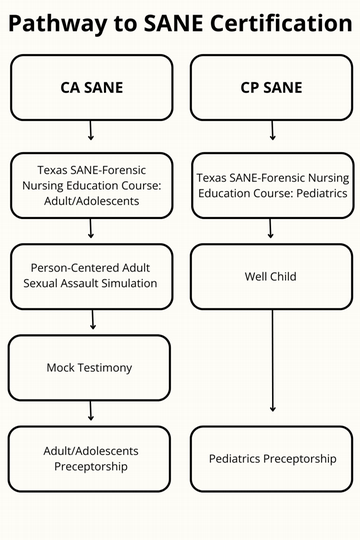 Pathway to SANE Certification